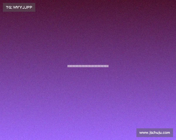 雷诺汽车倾力赞助全球顶尖赛事点燃速度激情共享赛车文化盛宴